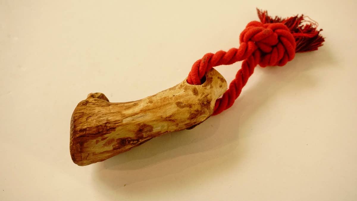 hundsfutter - Wholesale Pet Chew Toy - Dog - Olive wood teether with cotton cord1