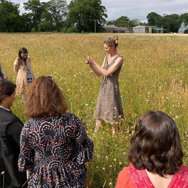 Meadow Creation Workshop for wholesale by Seilich