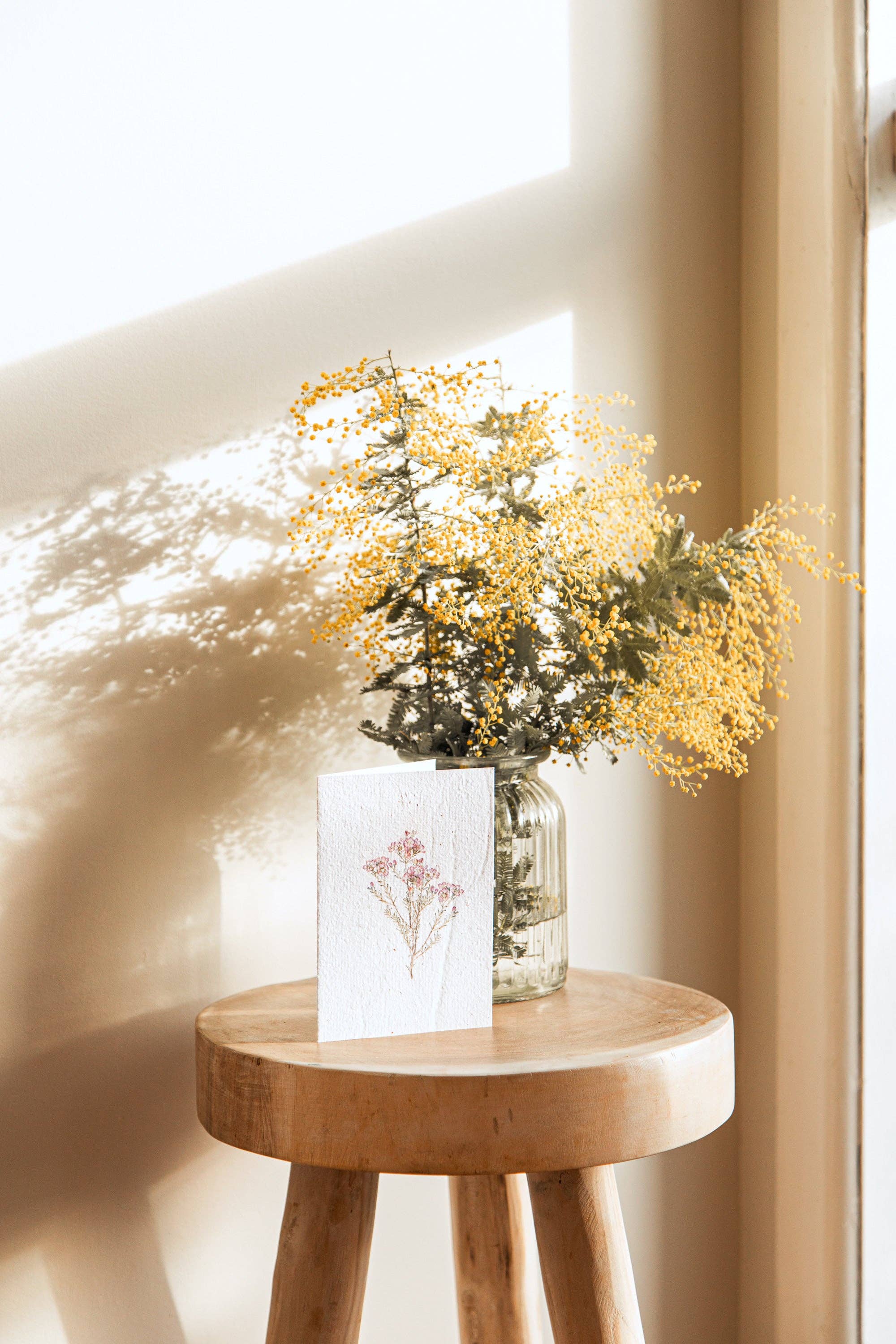 treasureinventory - Venta al por mayor Tarjetas de felicitación - Botánicos Australianos // Tarjetas Plantables // Paquete de 27 Tarjetas4