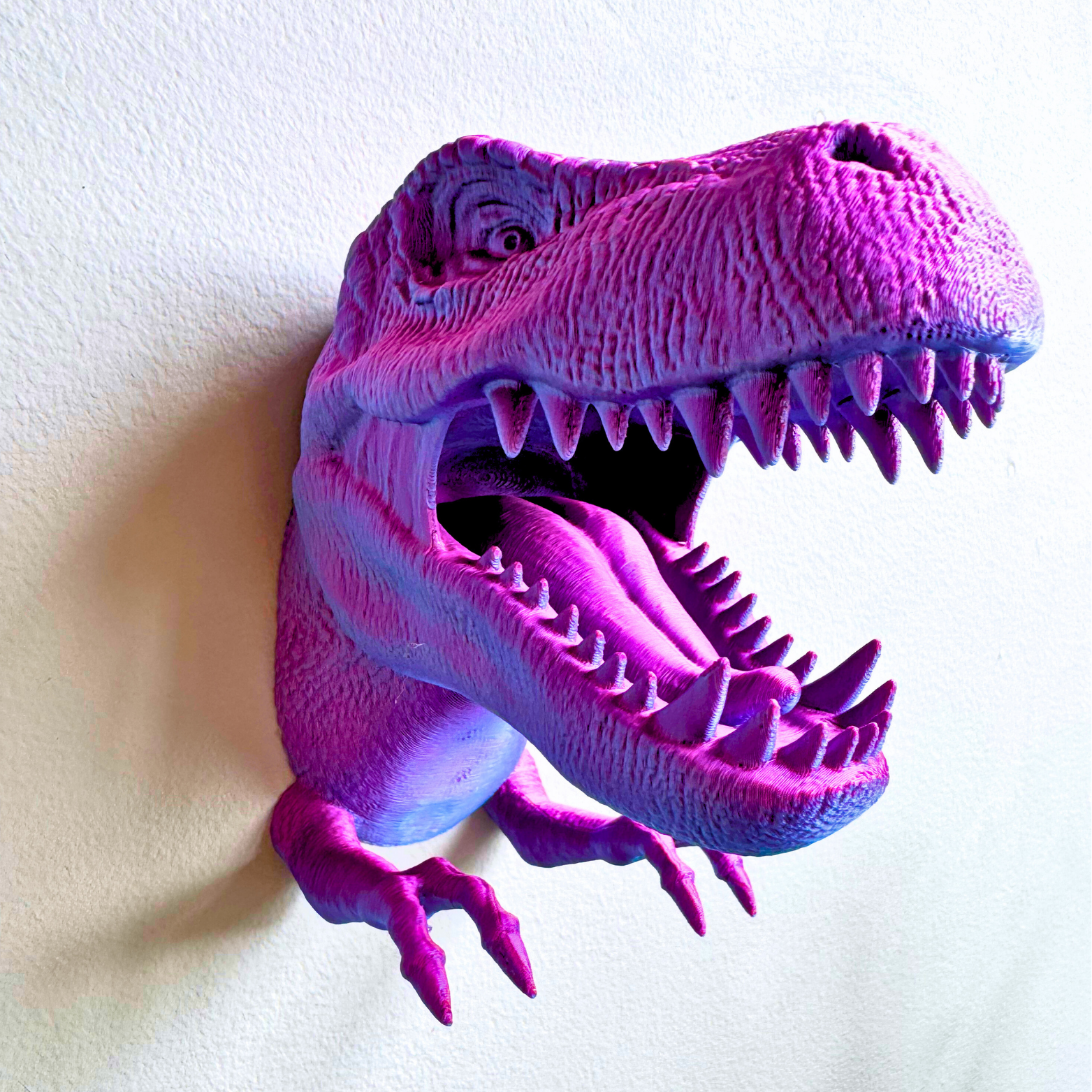 Dragon Fidgets – Großhandel Wanddeko - Kind & Baby – T-Rex Zubehörhalter zur Wandmontage22