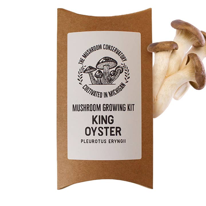 The Mushroom Conservatory LLC – wholesale DIY Matkit – King Oyster Gourmet Svamp Växande Kit: DIY-fest!