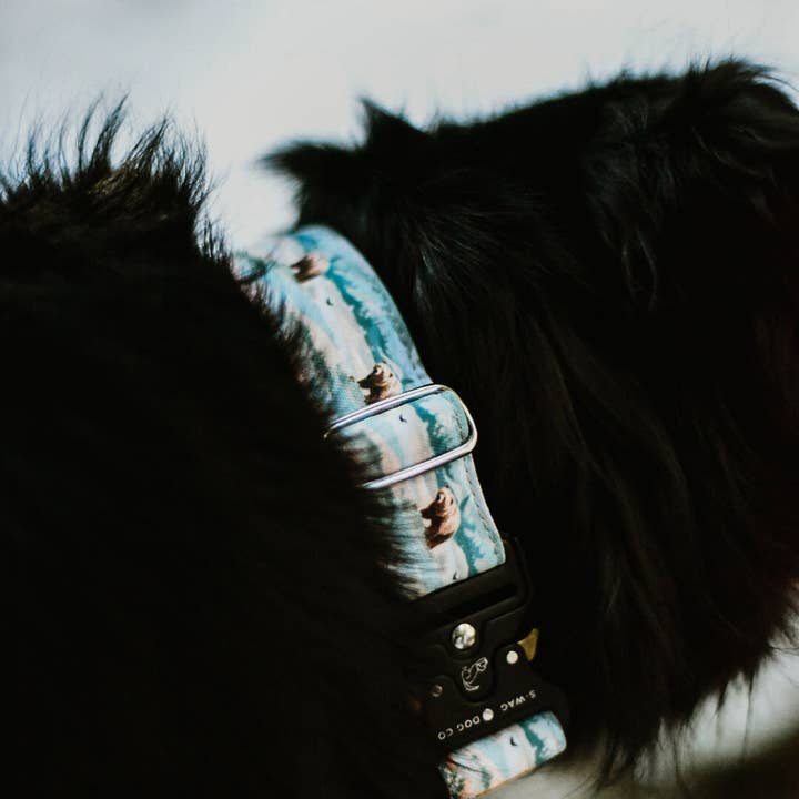 S-Wag Dog co. - Wholesale Pet Collar - Dog - Blue Gingham Dog Collar, Water Resistant and Lifetime Warranty
