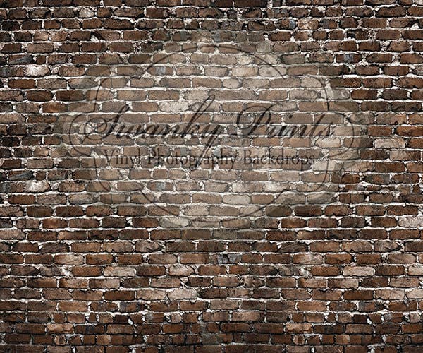 Swanky Prints - Vente Arrière-plans photo - Photo Booth Toile de fond 12 pi x 10 pi/Grunge Old Brique/Vinyle0
