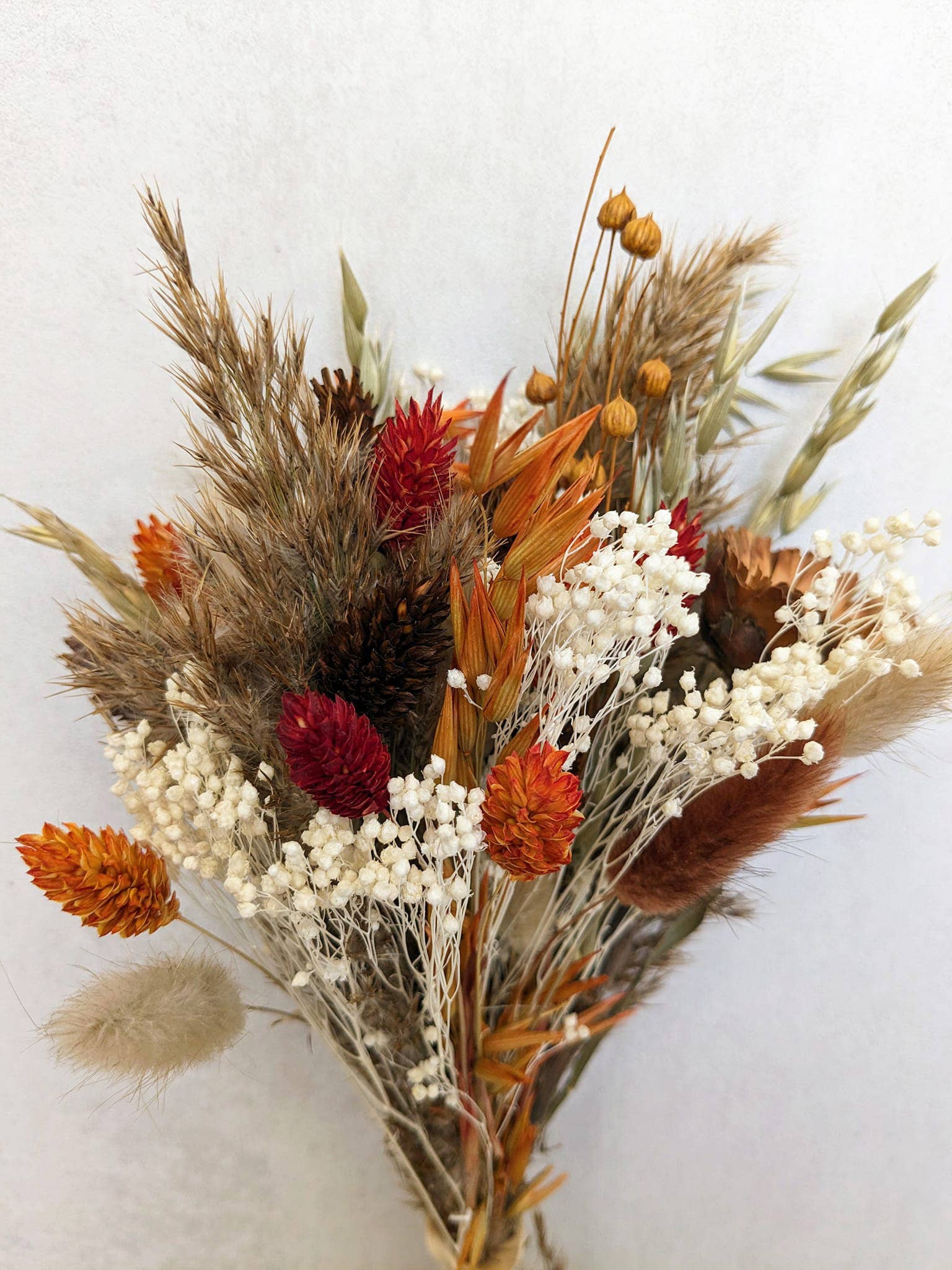 Maison Oline - Wholesale Dried/Pressed Flowers - CANNELLE | The bouquet of dried flowers in warm colors4