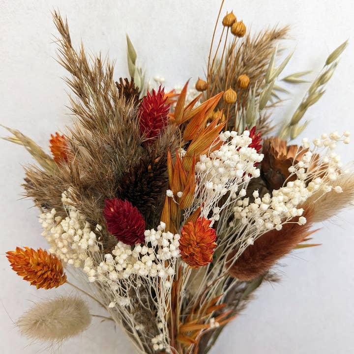 Maison Oline - Wholesale Dried/Pressed Flowers - CANNELLE | The bouquet of dried flowers in warm colors4
