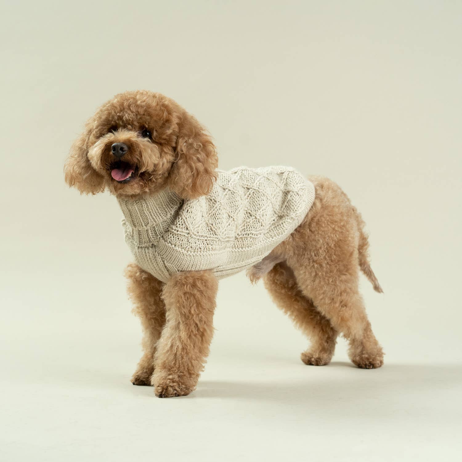 Alqo Wasi - Wholesale Pet Sweater - Dog - Diamond Knit Alpaca Dog Sweater Natural1