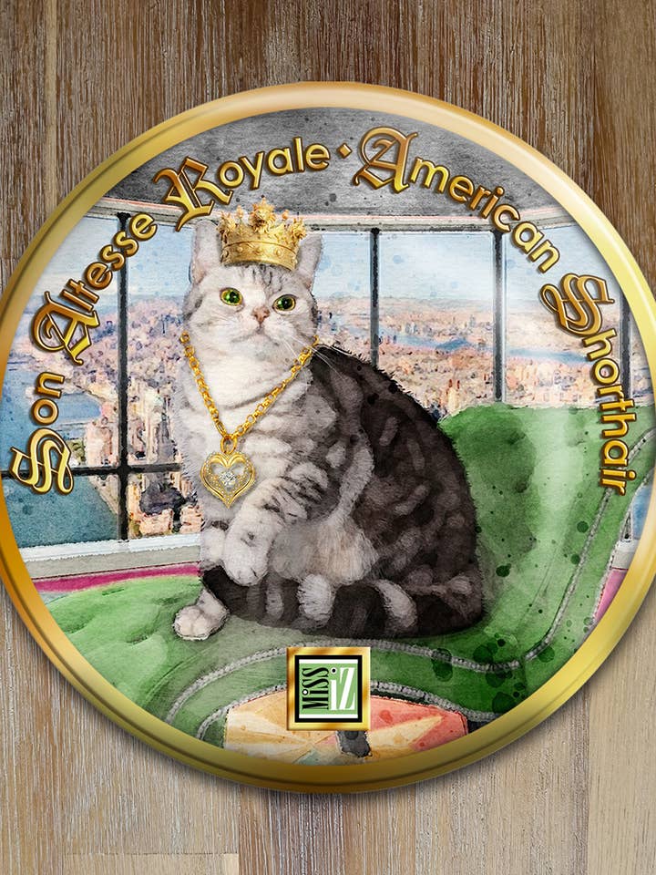 Espelho de bolso > Gato: AMERICAN SHORTHAIR por atacado de Miss Iz