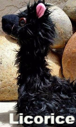 Choice Alpaca Products - Venta al por mayor Peluche - Niños y bebés - Peluches de Alpaca Pacabuddies20