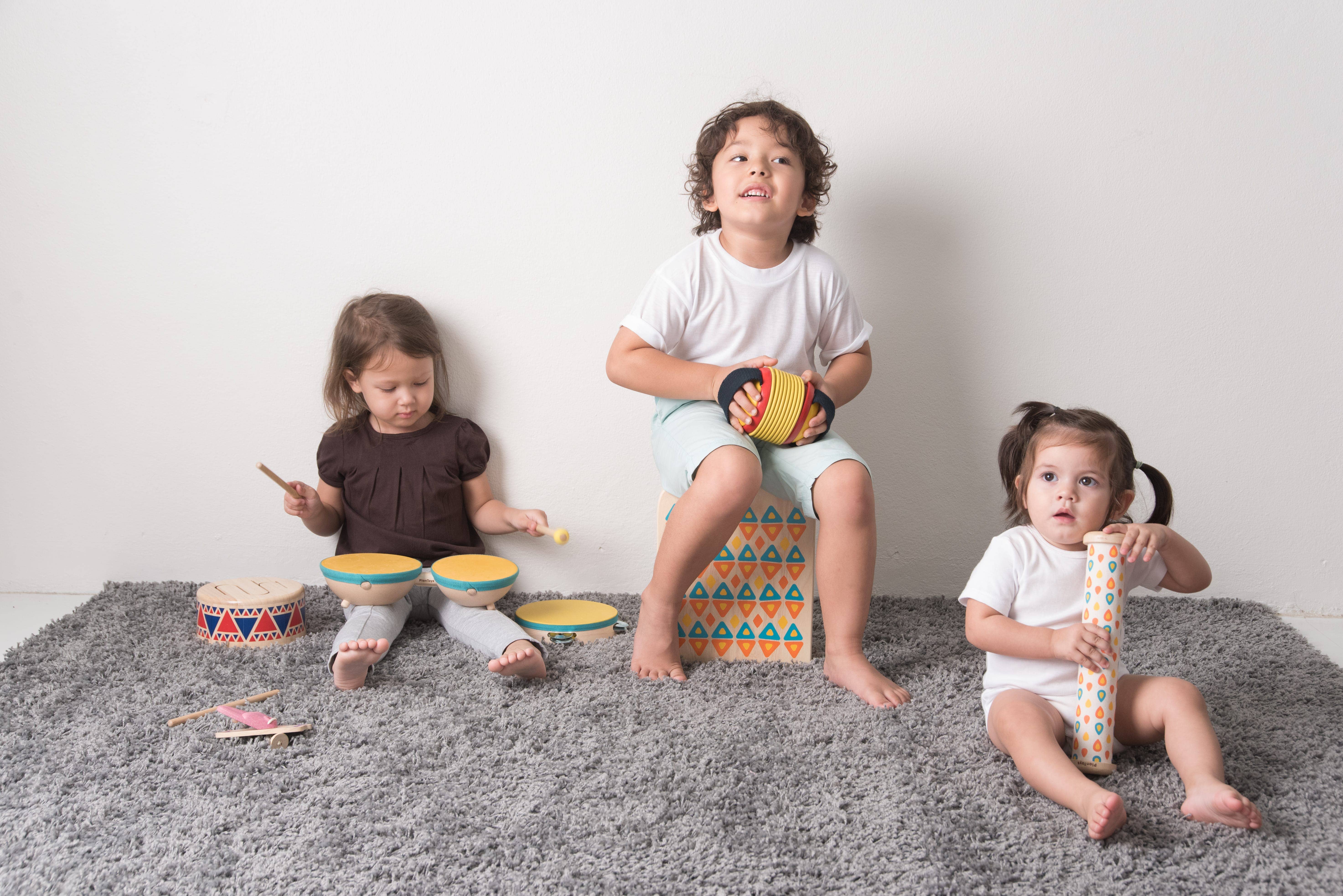 PlanToys - Wholesale Musical Toy - Kids & Baby - Concertina Musical Toy for Kids & Baby1