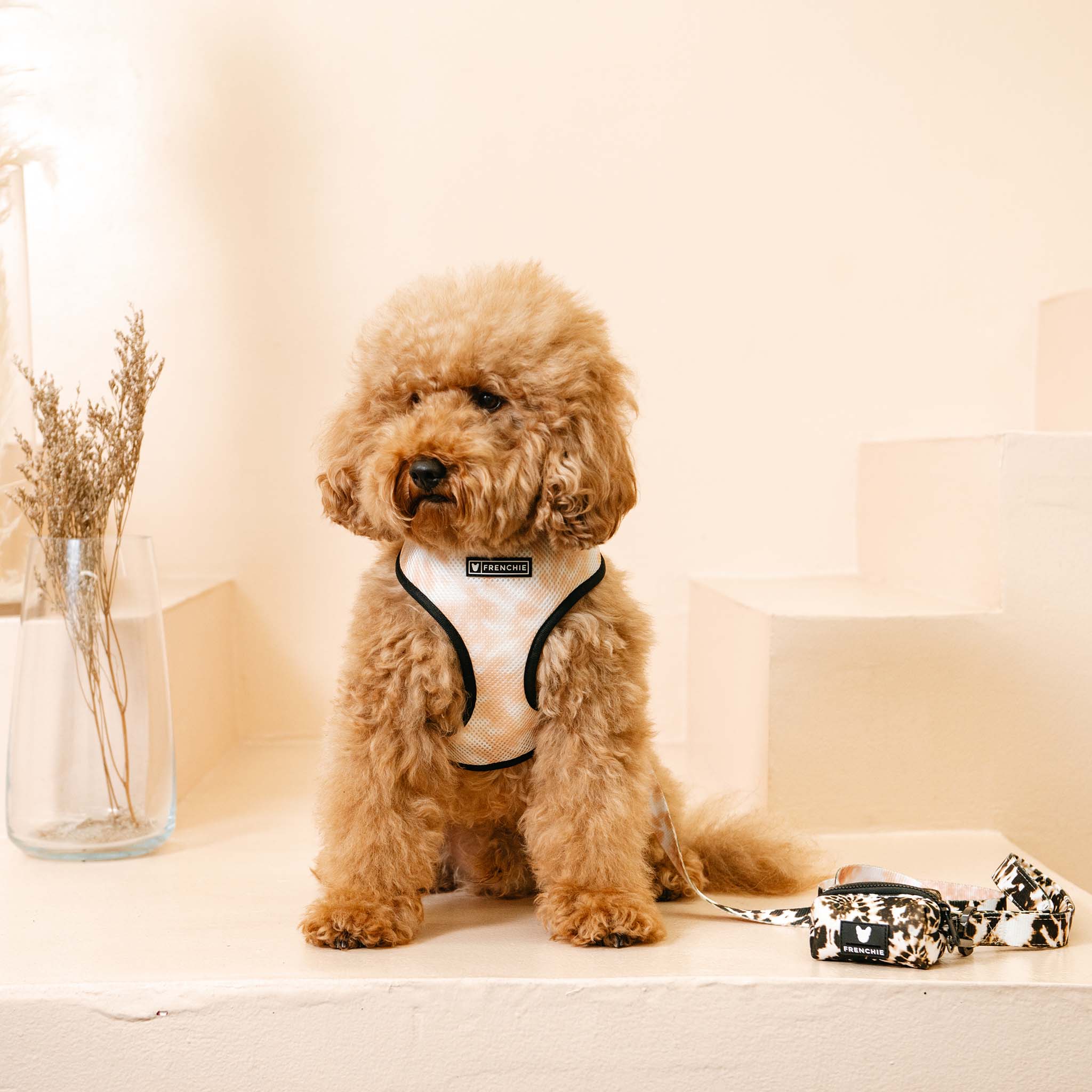 Frenchie – wholesale Pet harness – Dog – Frenchie Duo Reversible Harness - Earthy Tie Dye3