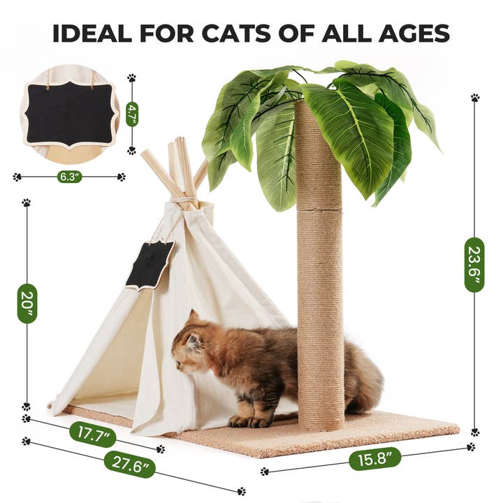 Robud & Mewoofun Official Store – Großhandel Haustier-Kratzfläche – Katze – Katzen-Kratzbaum mit Sisalstamm und Teepee-Spielzelt für drinnen3