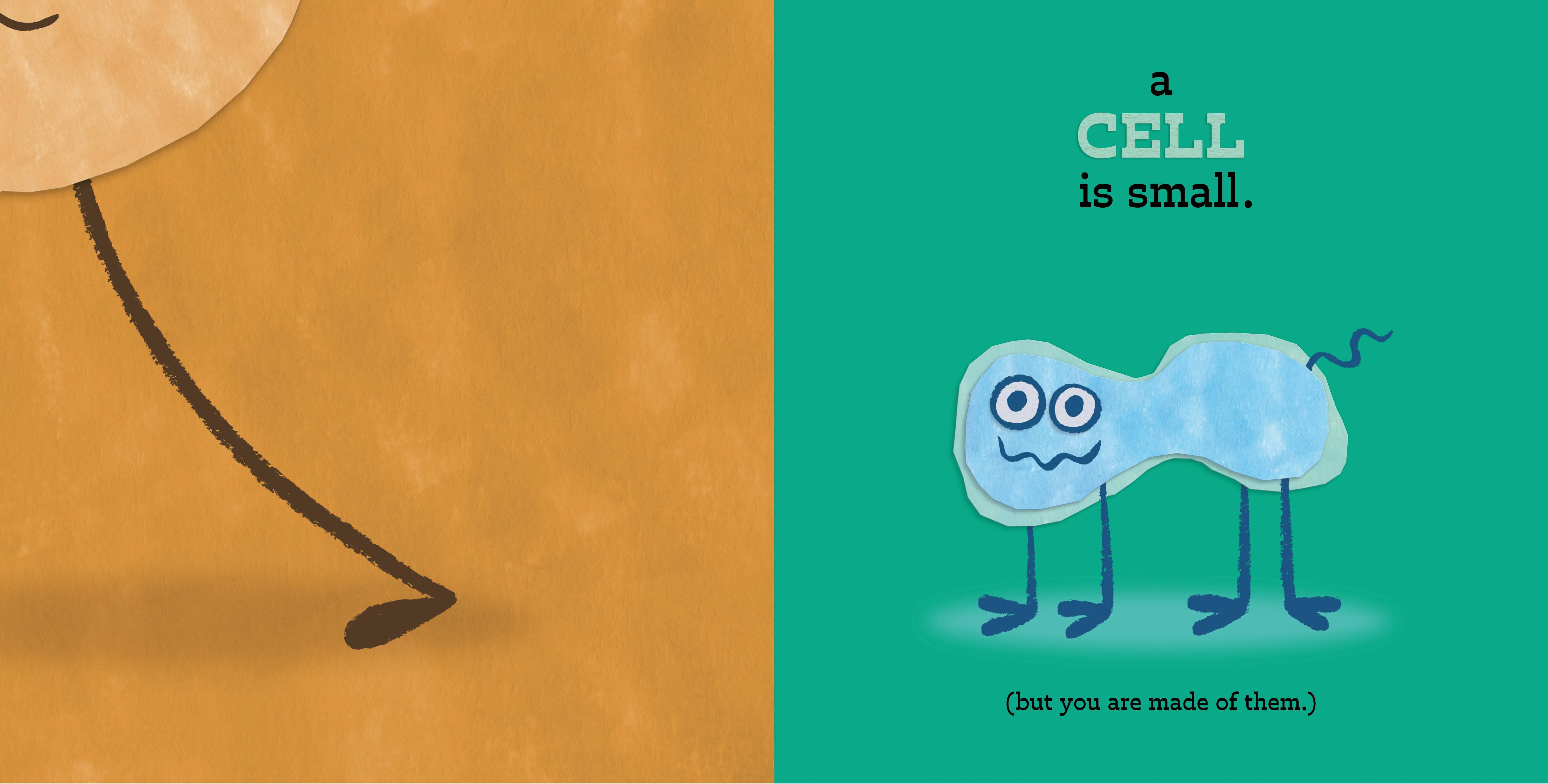 Hachette Book Group - Wholesale Preschool Book (3-5) - Are You Small? by Mo Willems10