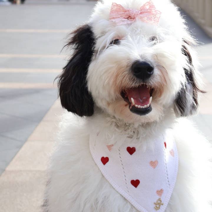 The Deluxe Pup - Vente Bandana – chien - BANDANA | CHÉRIE0