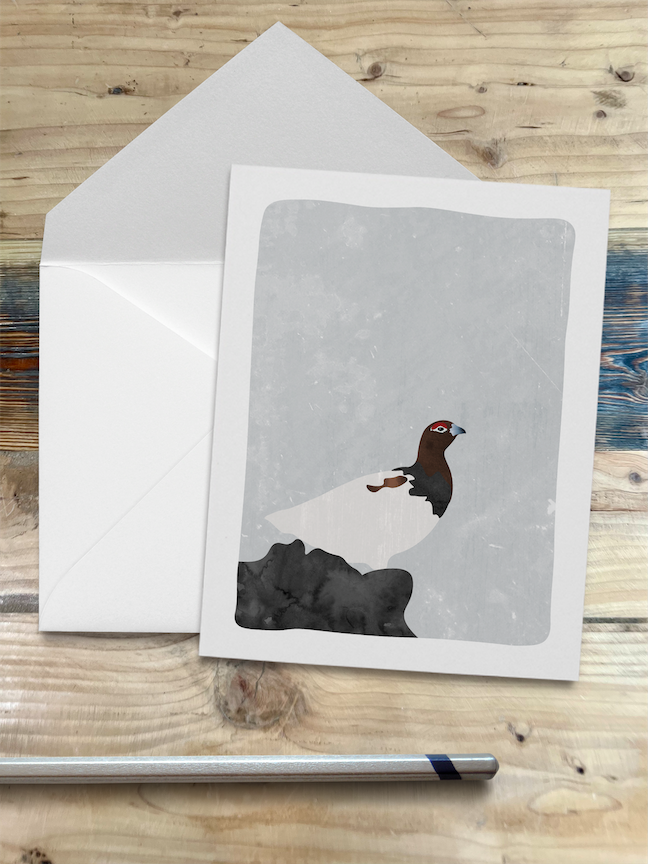 Wren and the Raven – wholesale Stationery/notecard set – Alaska Wildlife Series Notecards3