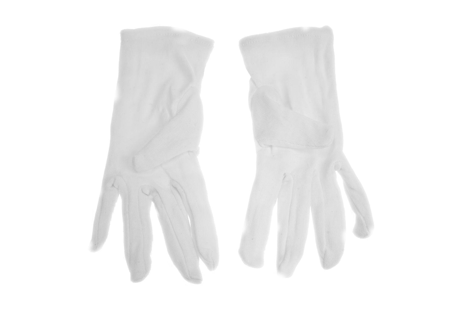 Fantasia R. Espig KG - Wholesale Gloves - Women's - white cotton gloves (pair) size M (8)1