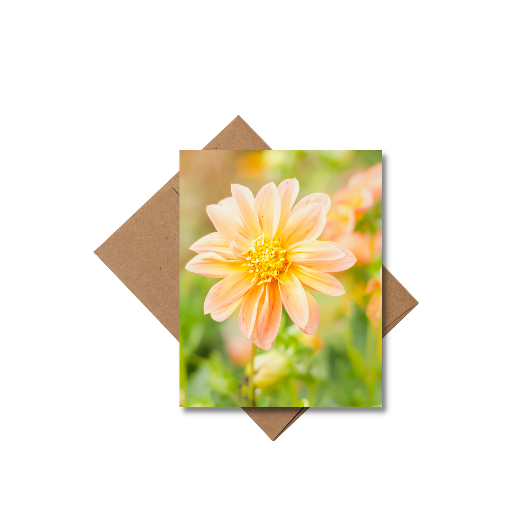 Andrea Morris Art - Wholesale Stationery/Notecard Set - Floral Card Variety Pack (5 Different Cards + Envelopes)2