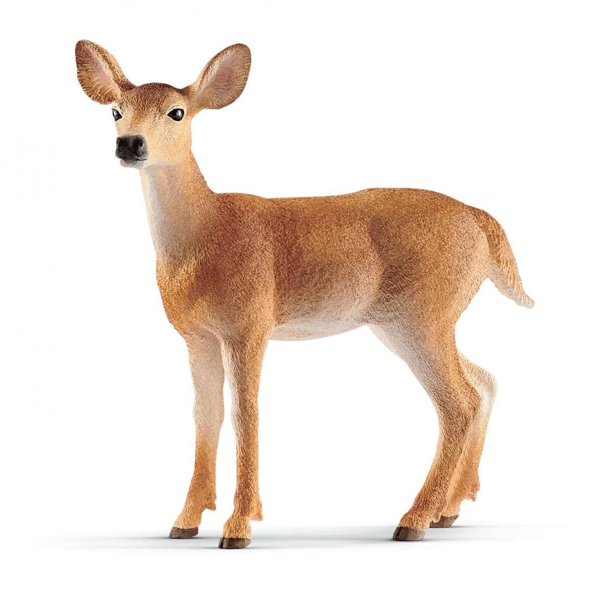Schleich - Wholesale Figurine Toy - Kids - White-Tailed Doe Forest Animal Toy0