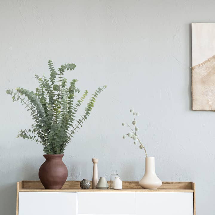 Andaluca - Wholesale Fresh Cut Flowers - Fresh Eucalyptus Silver Dollar + Baby Blue Mixed Bunches