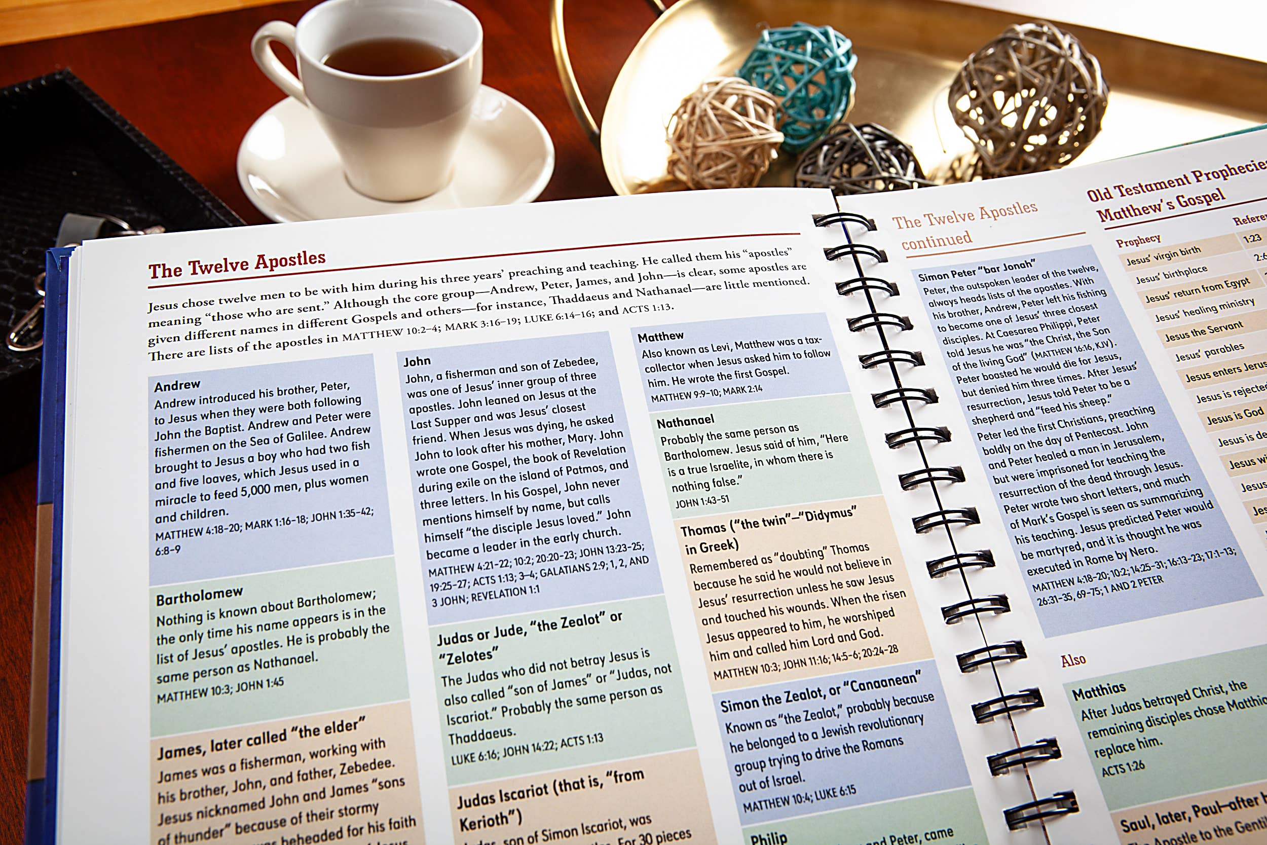 BroadStreet Publishing Group, LLC - Wholesale Religion - The Everything Bible (Ultimate Collection of Bible Facts)5