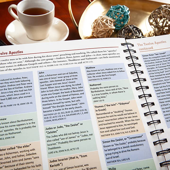 BroadStreet Publishing Group, LLC - Wholesale Religion - The Everything Bible (Ultimate Collection of Bible Facts)5