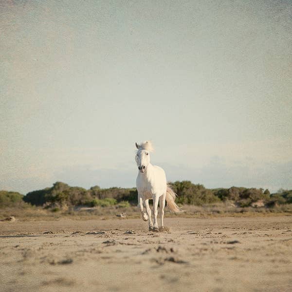 Fria sprit III för wholesale av Joseph Eta