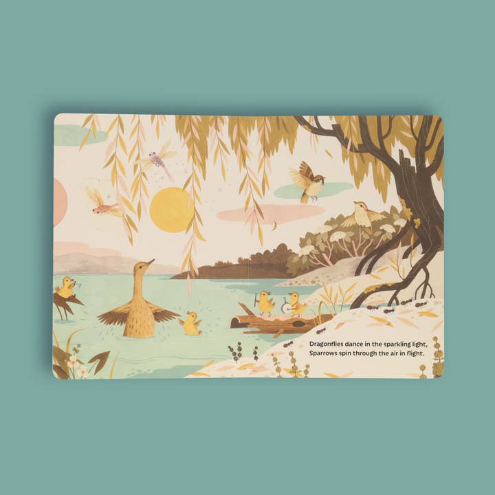 Chronicle Books - Wholesale Preschool Book (3-5) - Sunrise Dance7