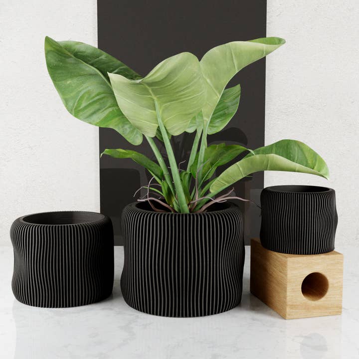 Modernized Pottery - Wholesale Plant Pot - BUBBLY Planter | Modernized Pottery