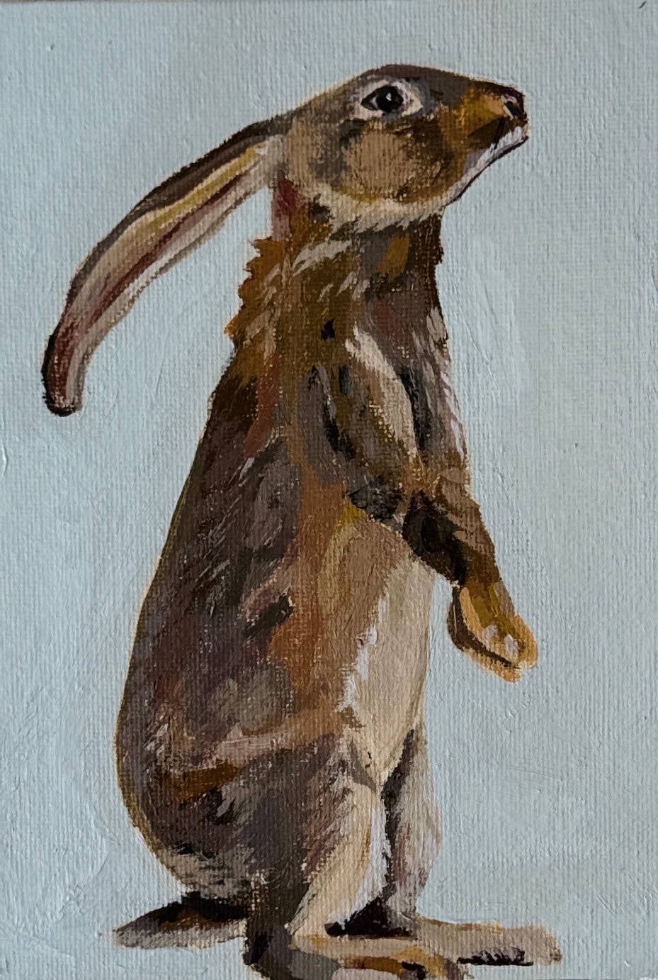 Katie Jo Art – wholesale Art print – "Mr.Rabbit" Print1