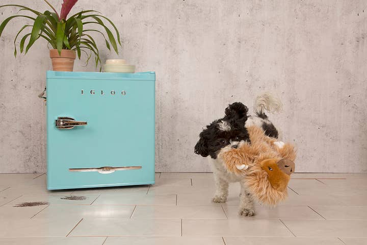 Pet Palette Distribution - Wholesale Pet Plush Toy - Dog - BARK Gordon the Giant Sloth2