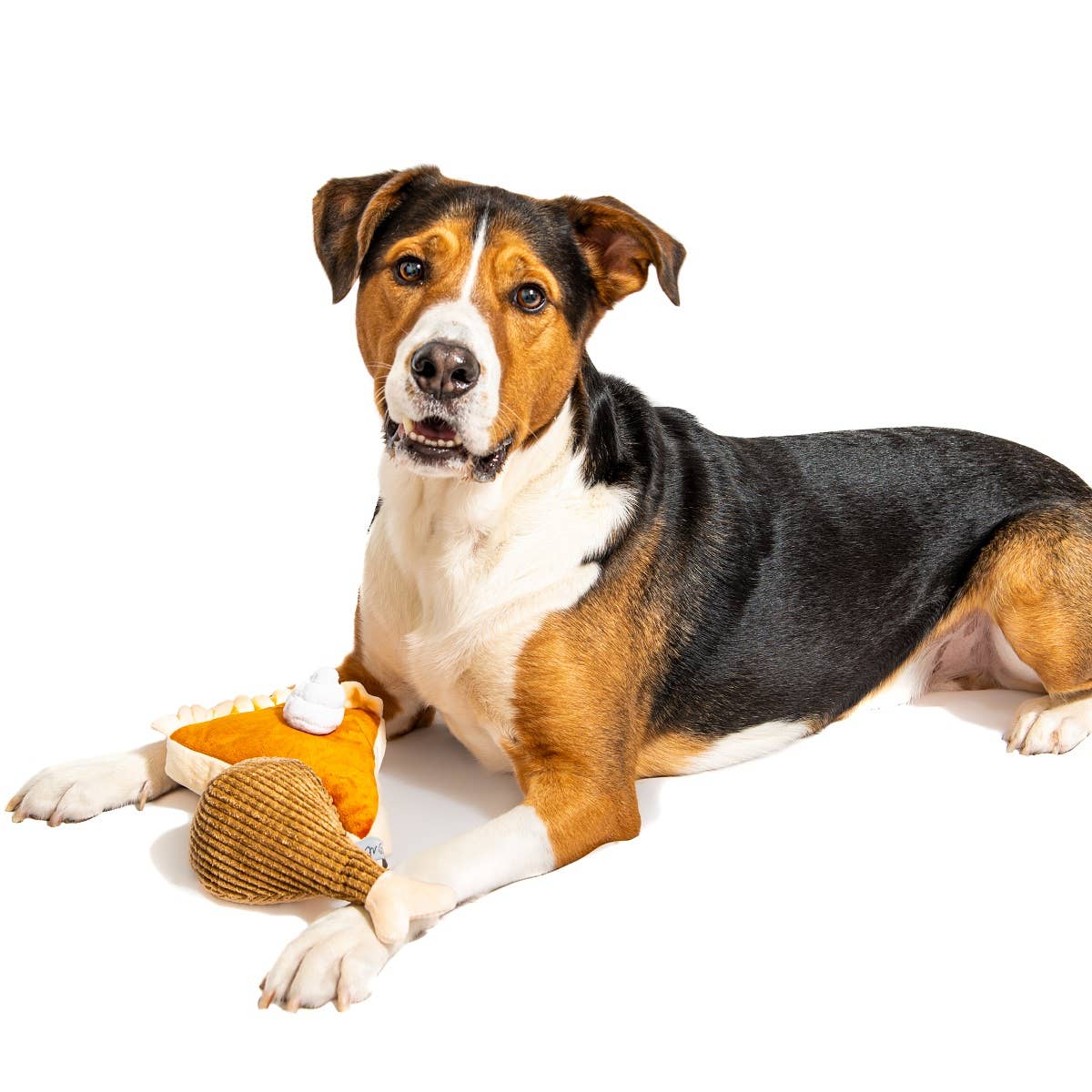 Midlee Designs – Engroshandel Tøjdyr - Hund – Midlee plysdyr til hunde med Thanksgiving græskartærte og kalkunben4