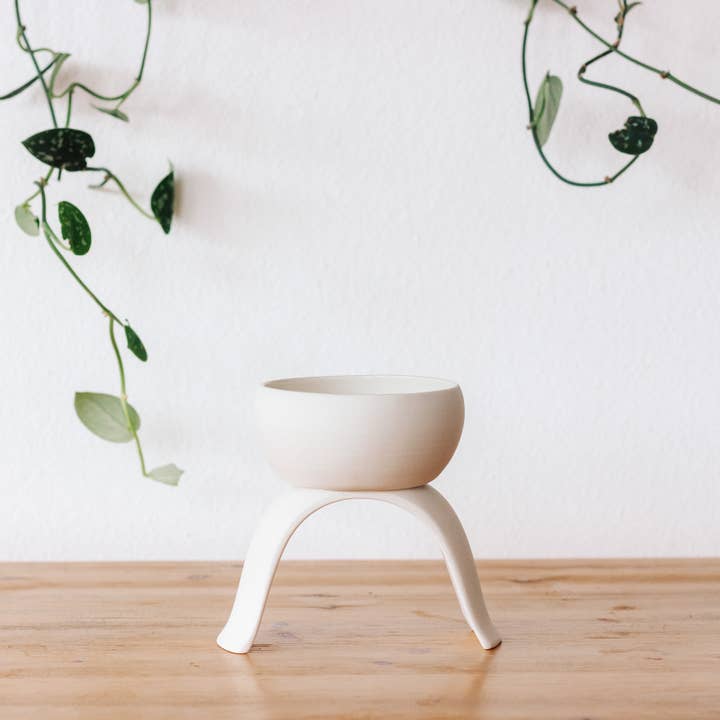 Carter & Rose - Venta al por mayor Macetas - Maceteros de cerámica con patas, poco profundos1