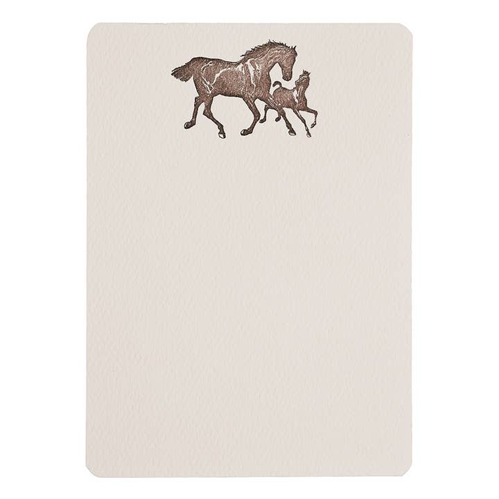 Horse & Foal - Notitiekaarten met Tails in doos voor wholesale door folio press & paperie