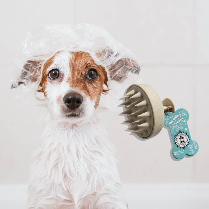 Wag & Bright Supply Co. - Wholesale Pet Brush - Cat/Dog - Puppy Polisher Eco Shampoo Brush