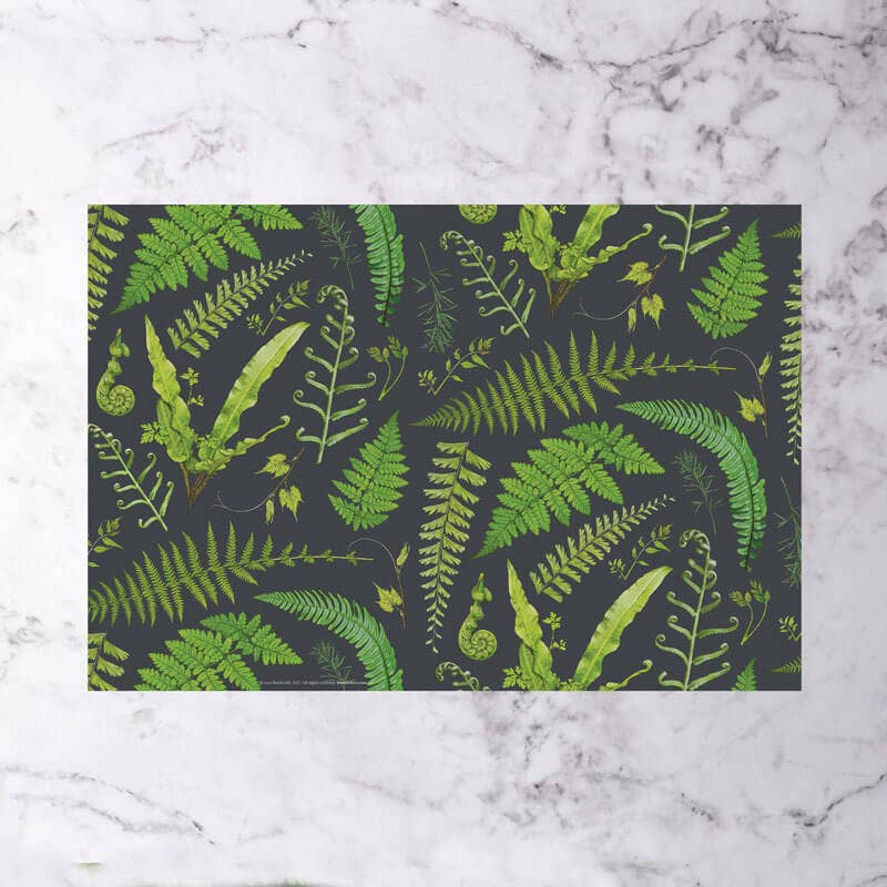 Brook Isle - Wholesale Disposable Placemat - Fern Specimen Paper Placemats (Set of 20)1