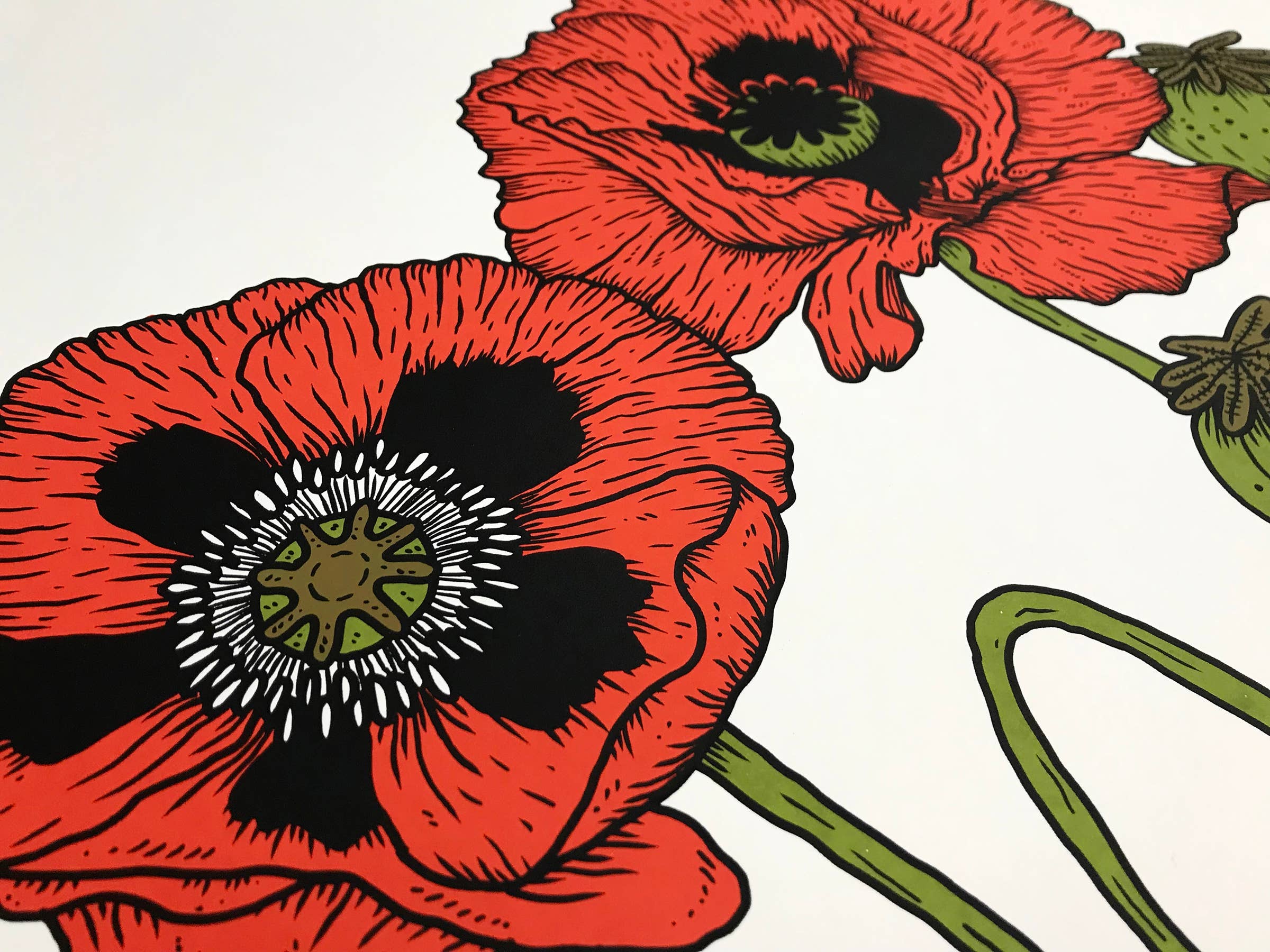 Stacey Malasky – Engroshandel Kunsttryk – Valmuer Print2