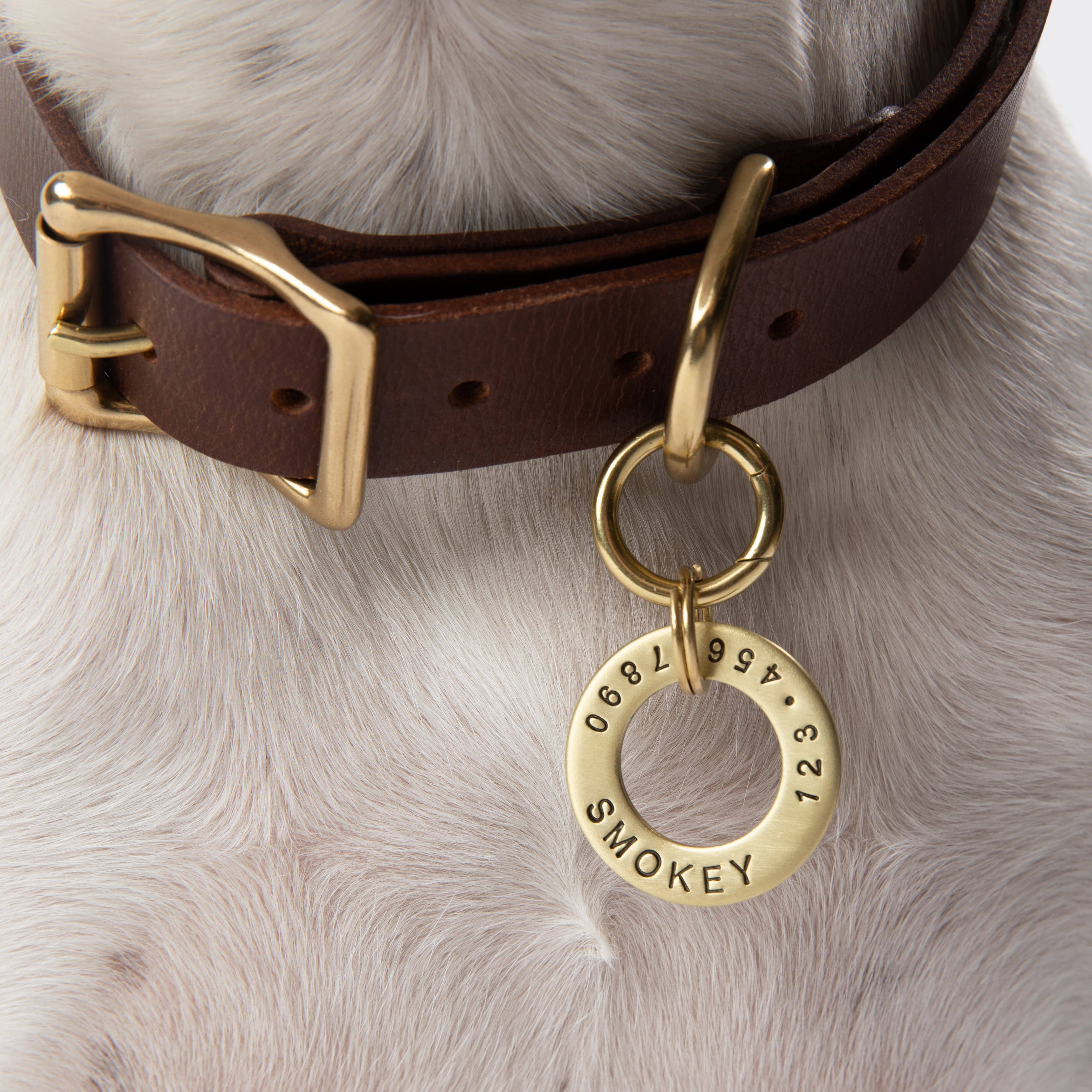 Noble Rhode - Wholesale Pet Identification Tag - Dog - Brass Washer Dog Tag1