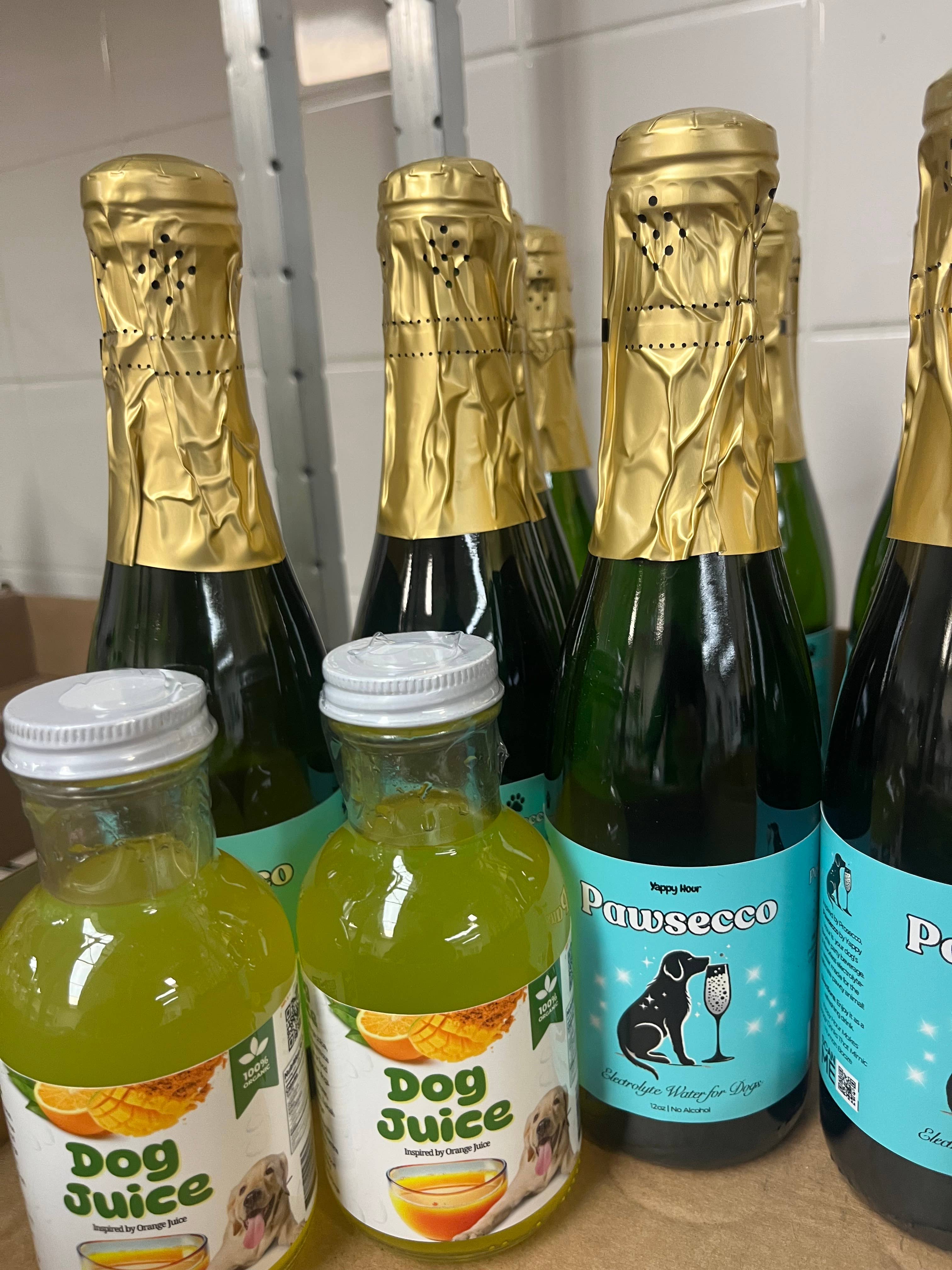 Yappy Hour - Wholesale Pet Treats - Dog - Mimosa Kit for Dogs | 6ct | Electrolyte-Mango2