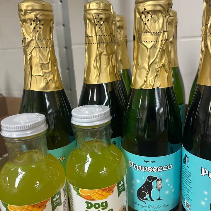 Yappy Hour - Wholesale Pet Treats - Dog - Mimosa Kit for Dogs | 6ct | Electrolyte-Mango2