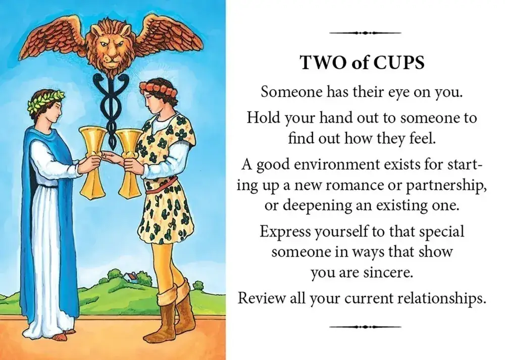 U.S. Games Systems Inc. - Wholesale Tarot Cards - The Gift of Tarot Pack of Three Envelopes4