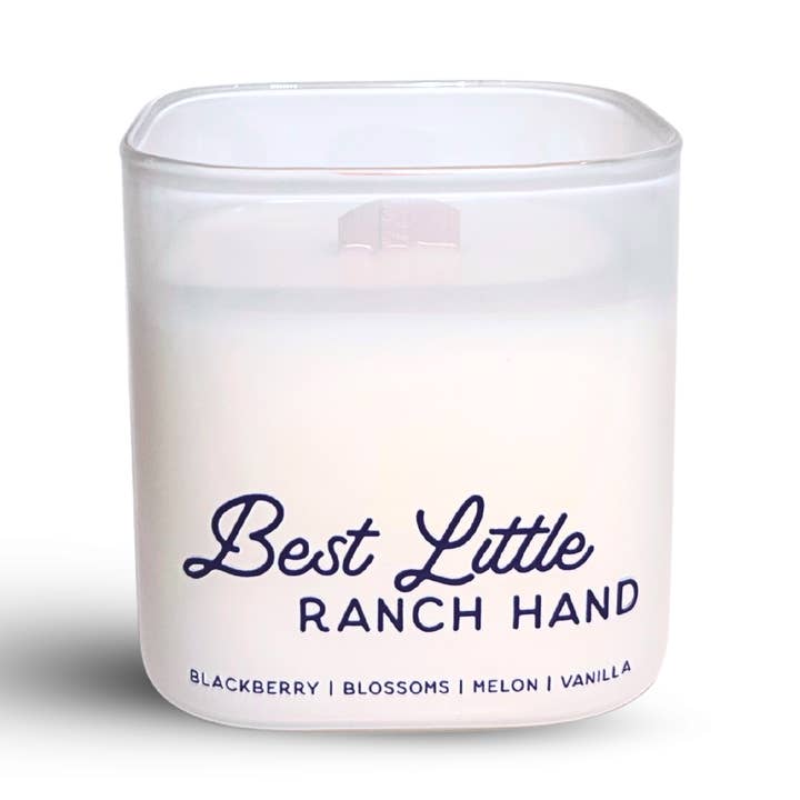 Meilleur Petit Aide de Ranch pour la vente par Western Hive