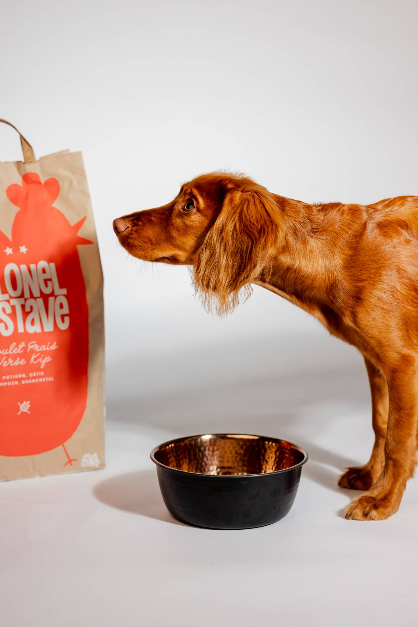 Colonel Gustave - Wholesale Pet Food - Dog - Puppy kibble - Fresh Chicken, Pumpkin and Nettle1