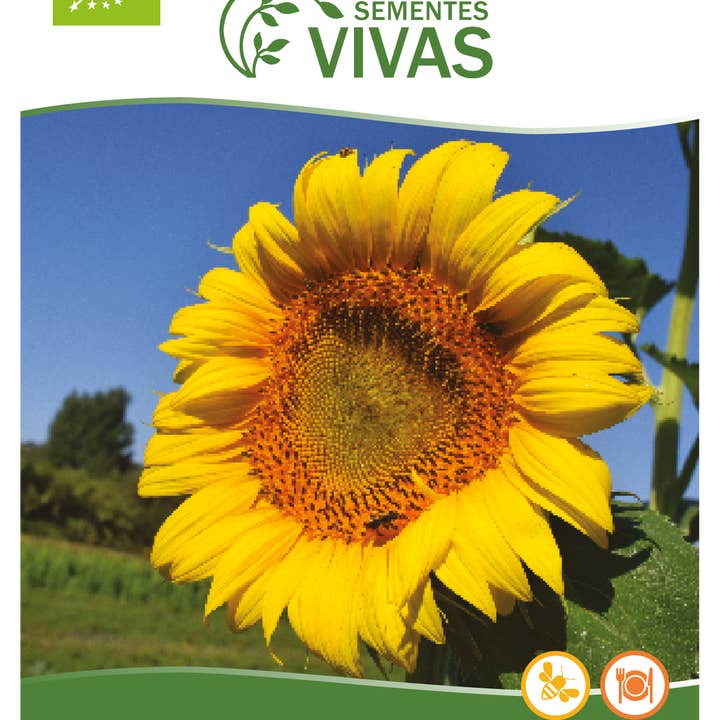 Geocakes - Wholesale Plant Seeds - Giant Sunflower Seeds - BioLogico3