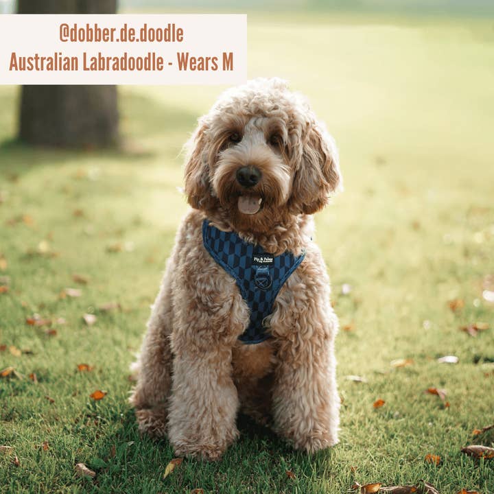 Pip and Palms - Wholesale Pet Harness - Dog - Dog Harness Shades of Blue6