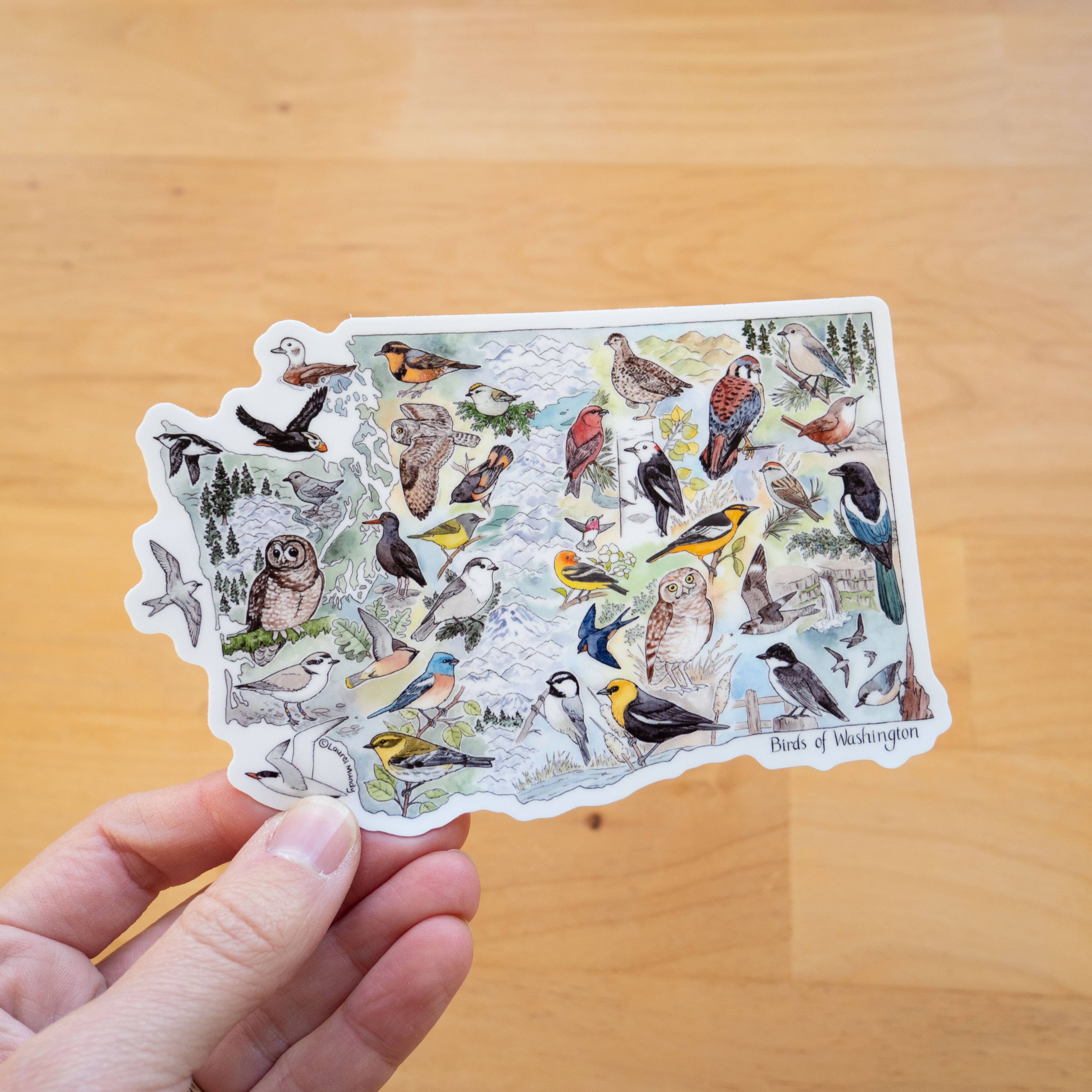 Laurel Mundy Illustration - Wholesale Sticker - Birds of Washington 5.25"X3.5" Large Vinyl Sticker