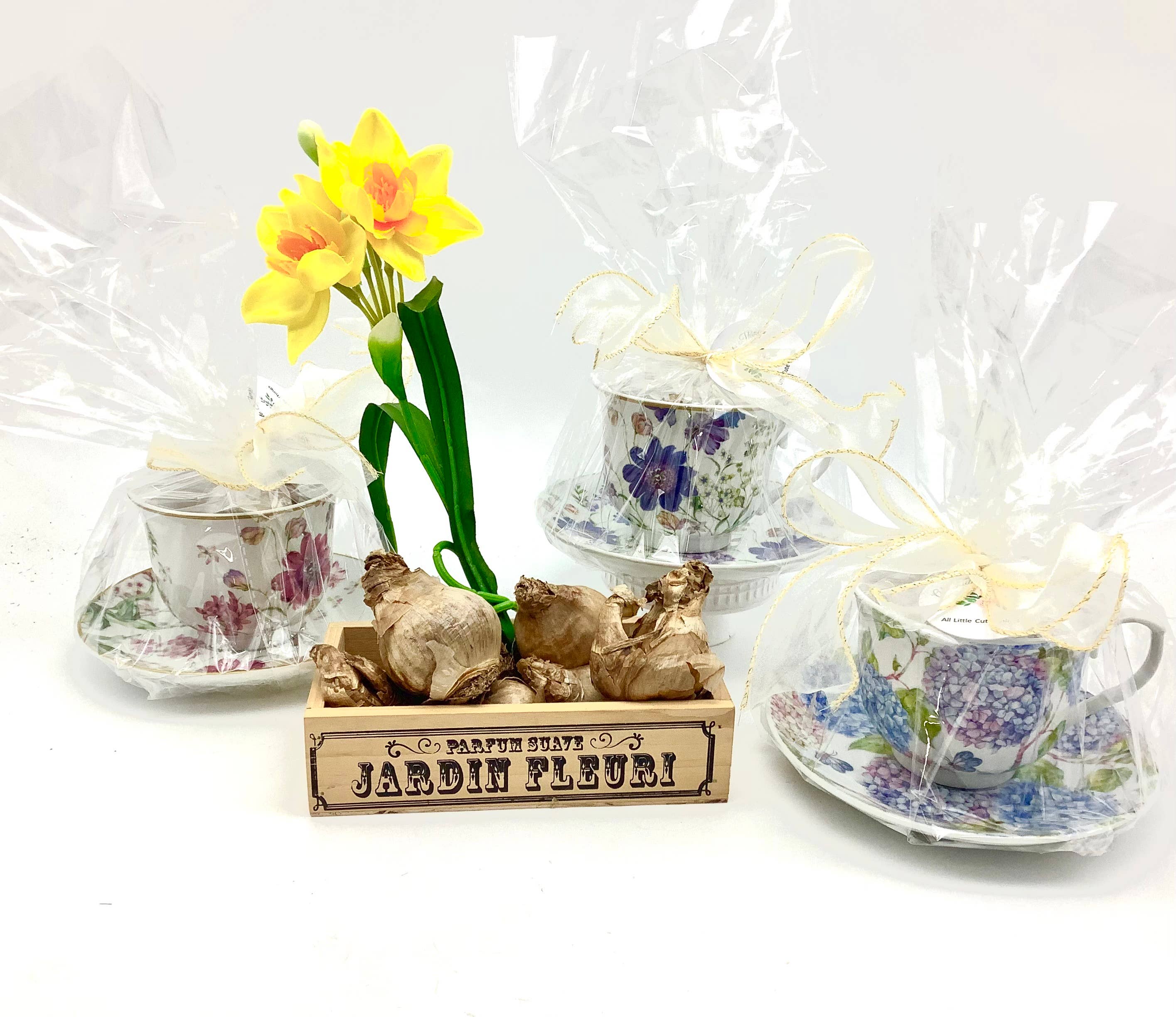 All Little Cute Things - Wholesale Party Favor - Dutch Daffodil Bulb in a Teacup, Garden Tea Party Favors1