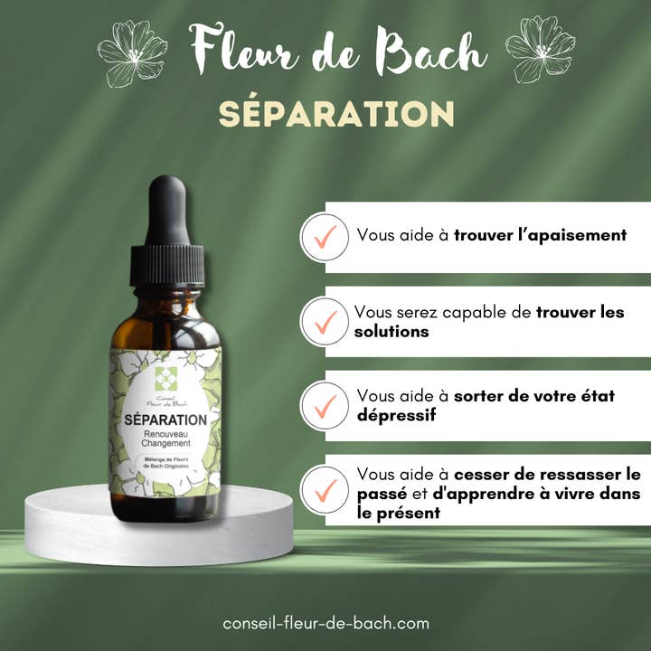 Conseil fleur de Bach - Wholesale Oral Supplement/Vitamin - Bach Flowers Separation2