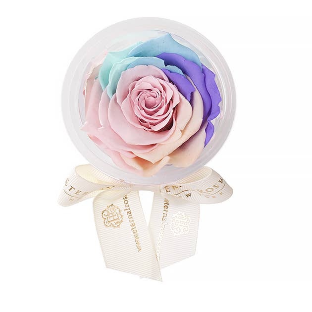 Eternal Roses® - Wholesale Party Favor - Eternal Rose Party Favors17