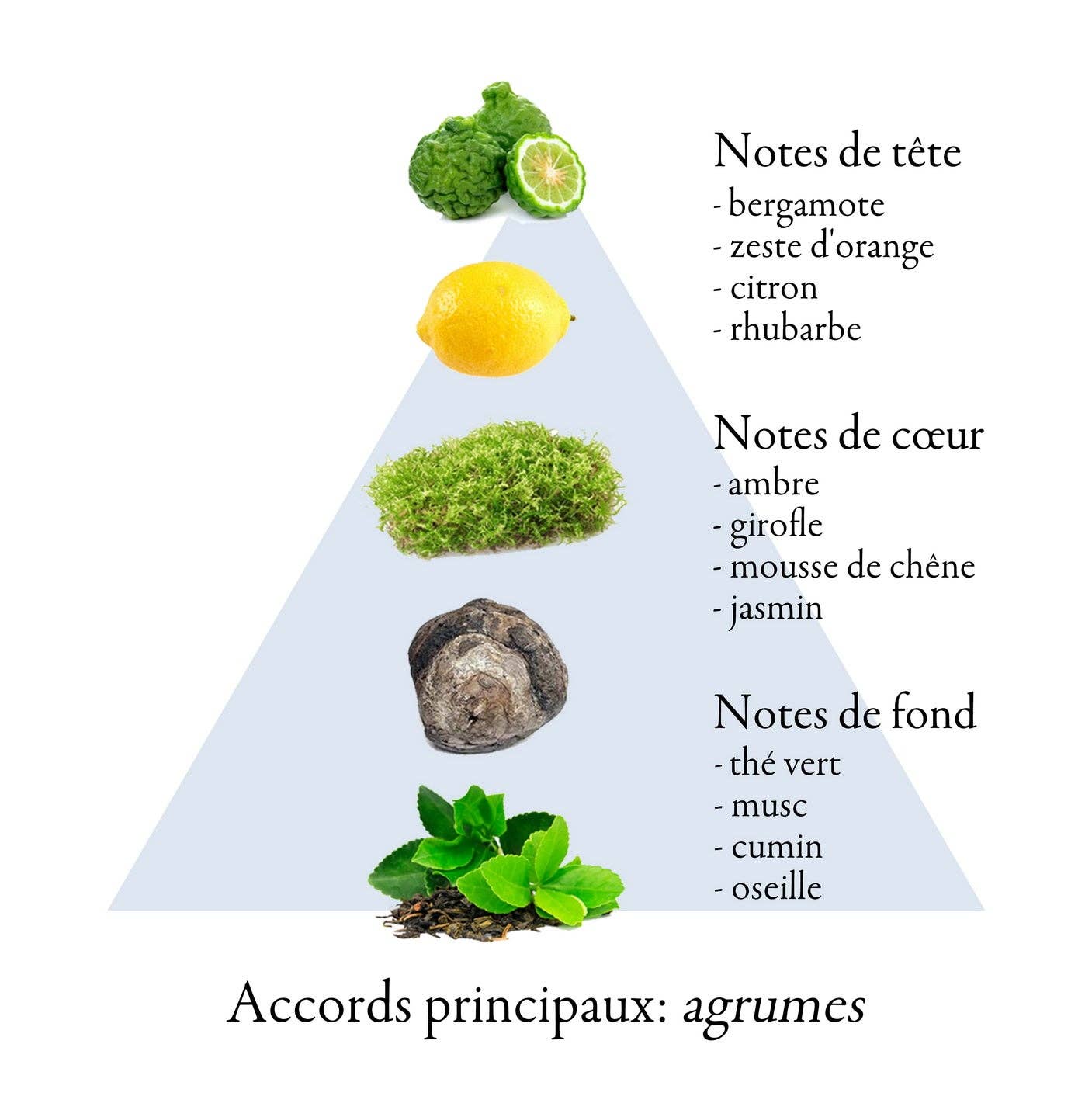 FAMILLE GRASSE PARFUMS - Wholesale Perfume/Eau de Toilette - BAIES D’ÉTÉ  eau de parfum for women 50ml3