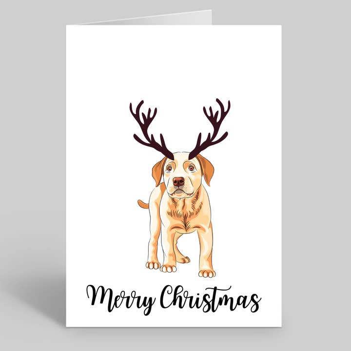 Set of 10 Labrador Dog Christmas Cards - Envelopes Included for wholesale by We Are Positive Prints