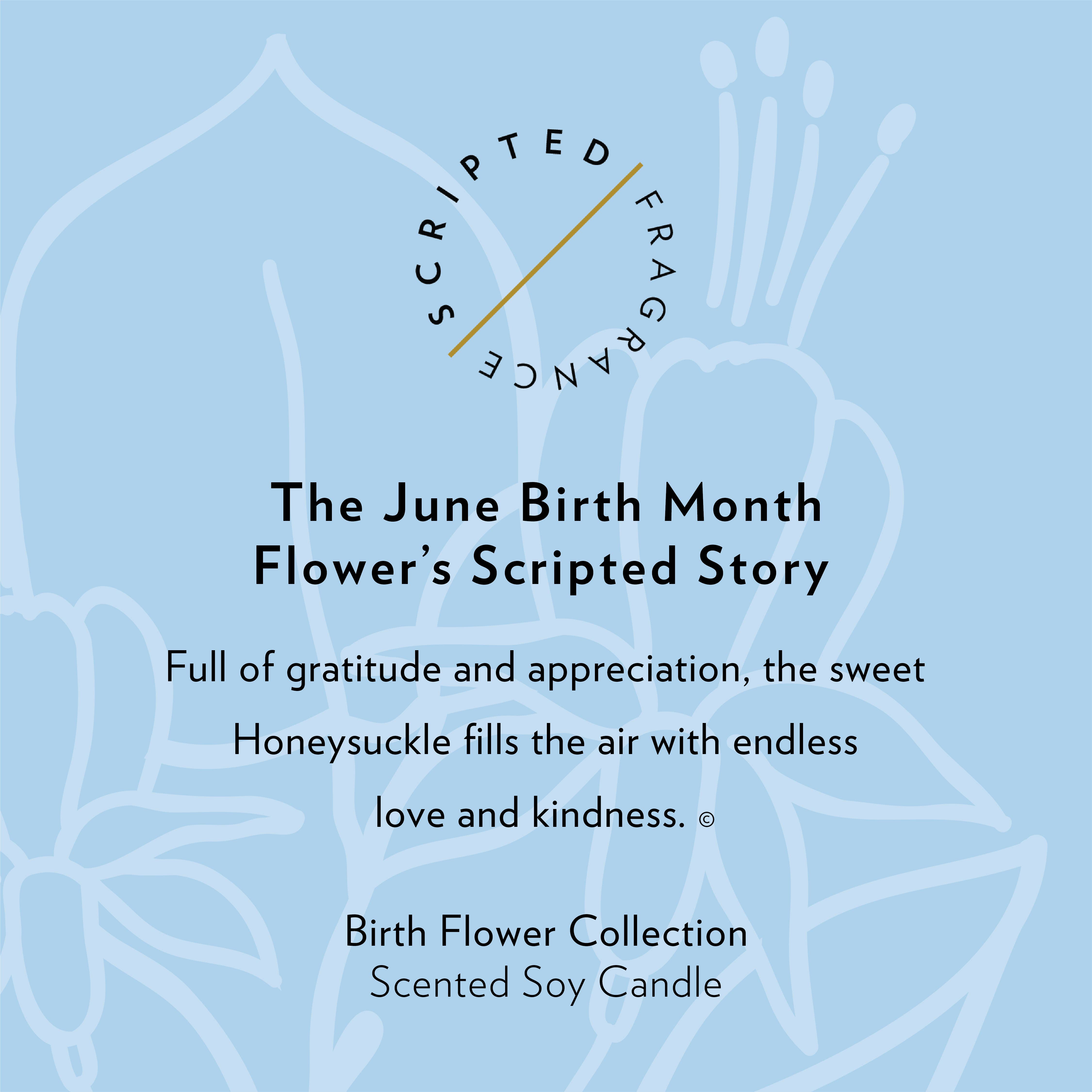 Scripted Fragrance - Wholesale Jar/Filled Candle - June Birth Flower Soy Candle6